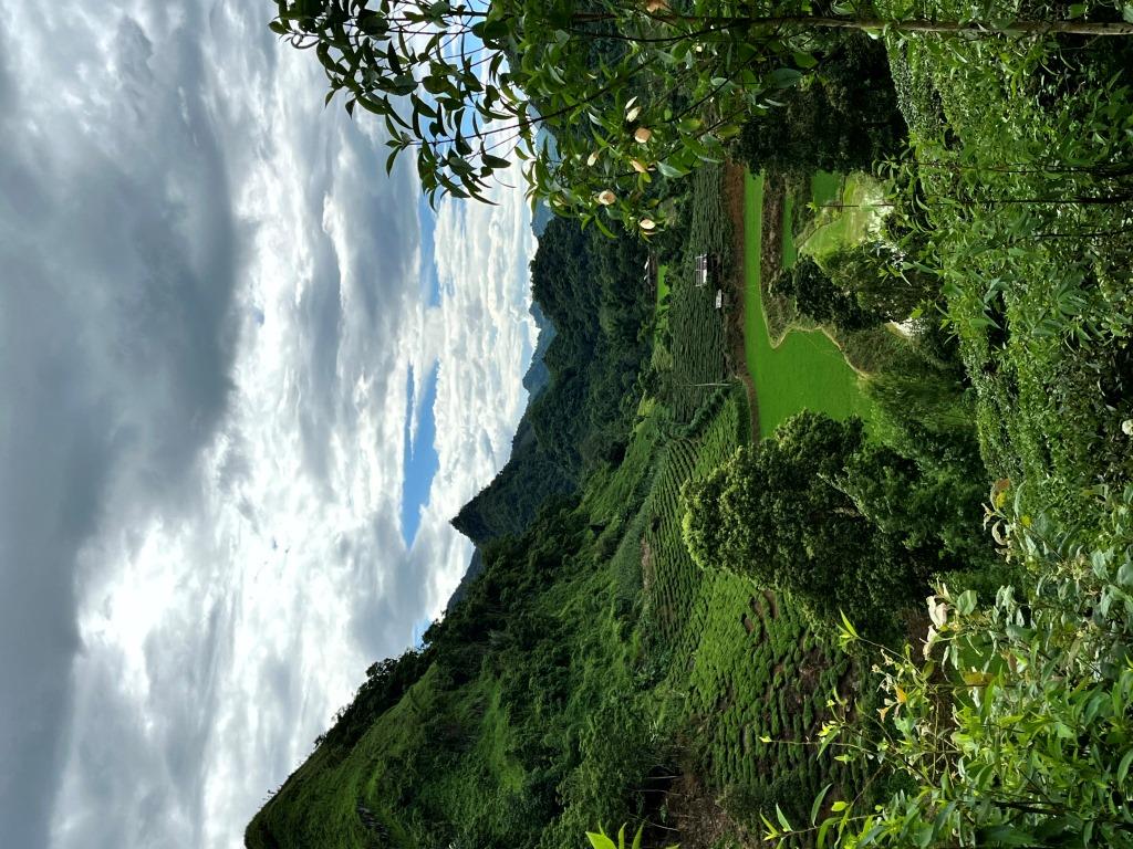 Sung Phai - RANDONNÉE - 1/2 journée 