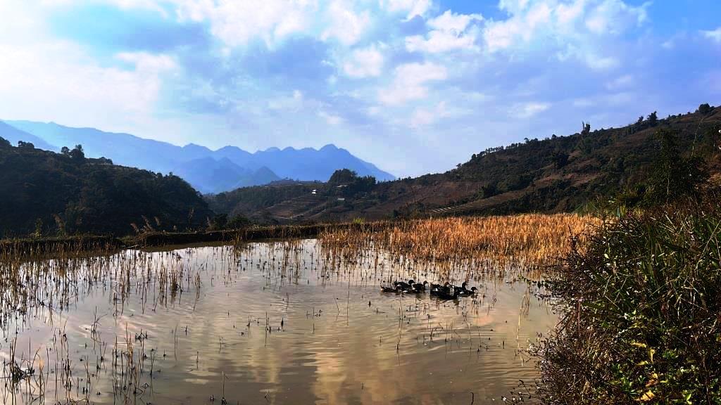 Then Sin RANDONNÉE - 1/2 journée 