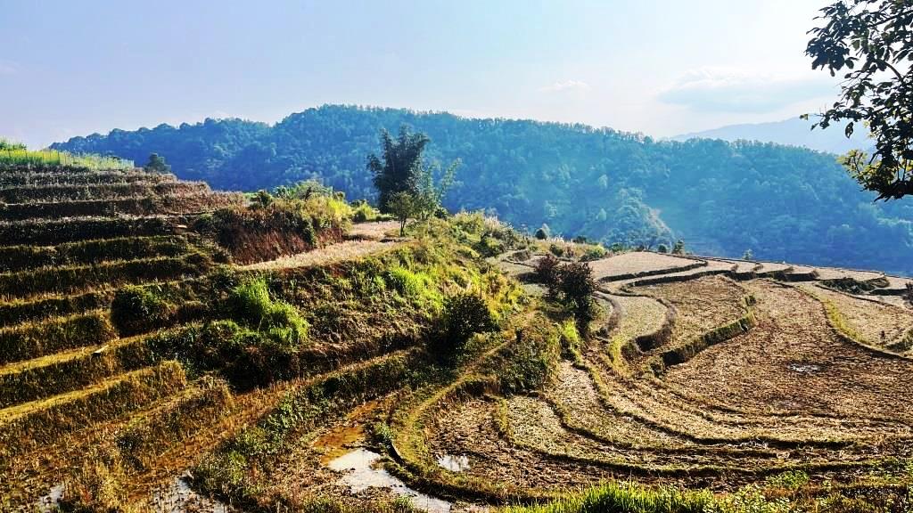 Then Sin RANDONNÉE - 1/2 journée 