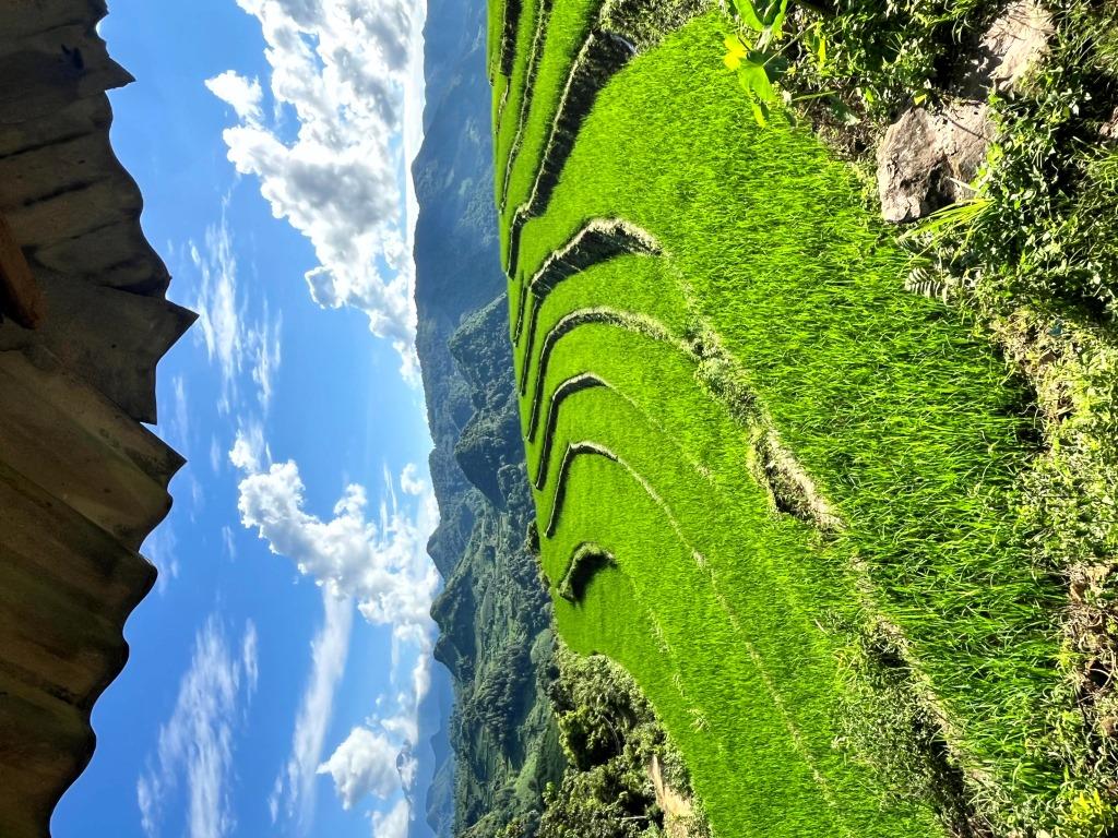 Then Sin RANDONNÉE - 1/2 journée