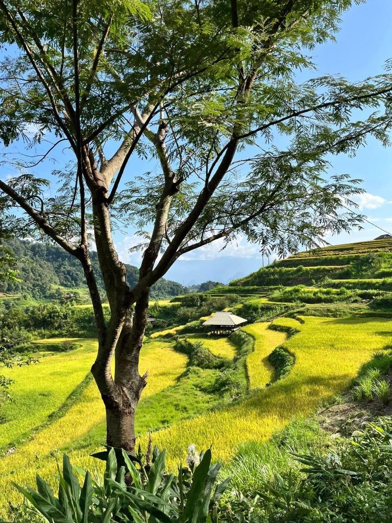 Surroundings of Lai Chau – MOTORBIKE TOUR – 1 Day