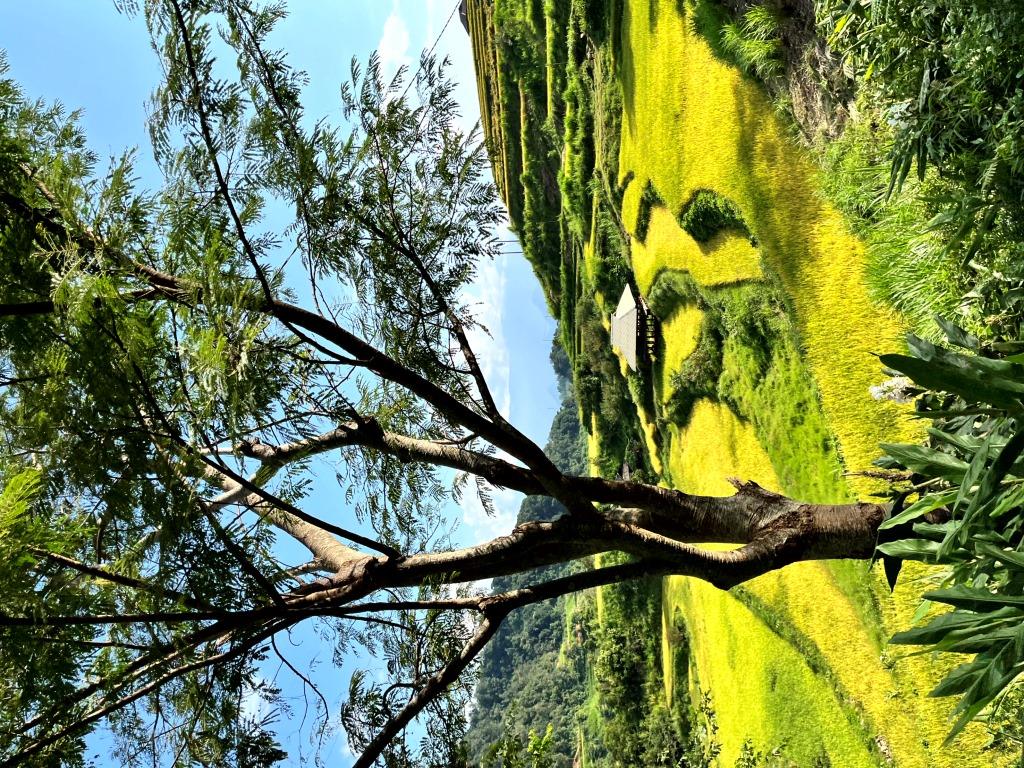 Surroundings of Lai Chau – MOTORBIKE TOUR – 0,5 Day