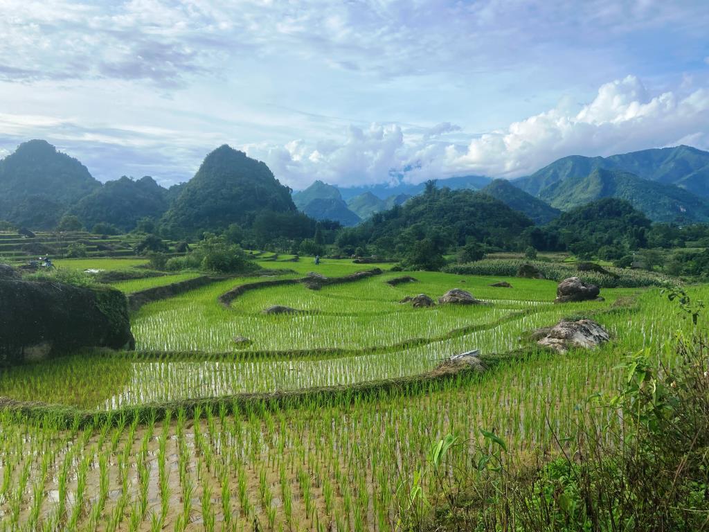 Environs de Lai Chau - MOTO TOUR - 0,5 journée 