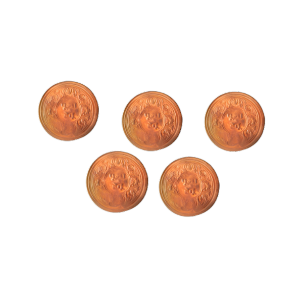 Copper Coin (Pack of  5)