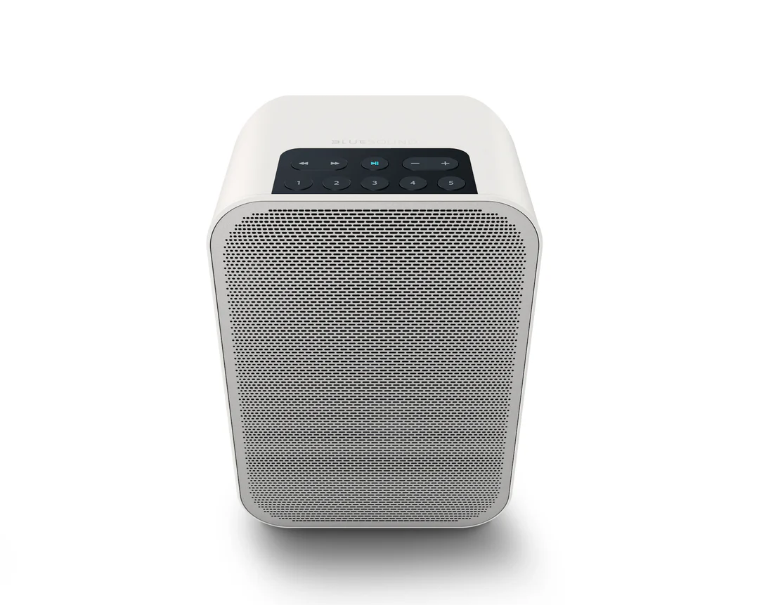 Bluesound PULSE FLEX 2i Portable Wireless Multi-Room Music Streaming Speaker
