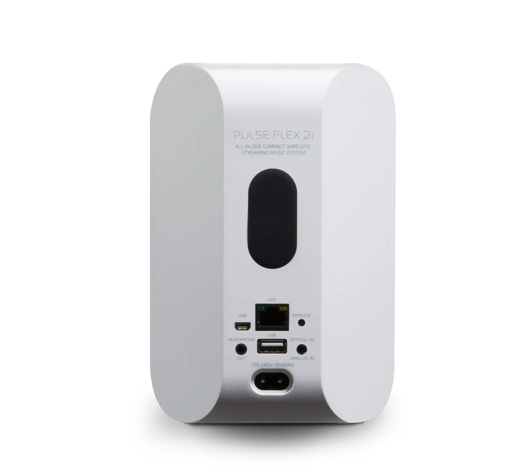 Bluesound PULSE FLEX 2i Portable Wireless Multi-Room Music Streaming Speaker