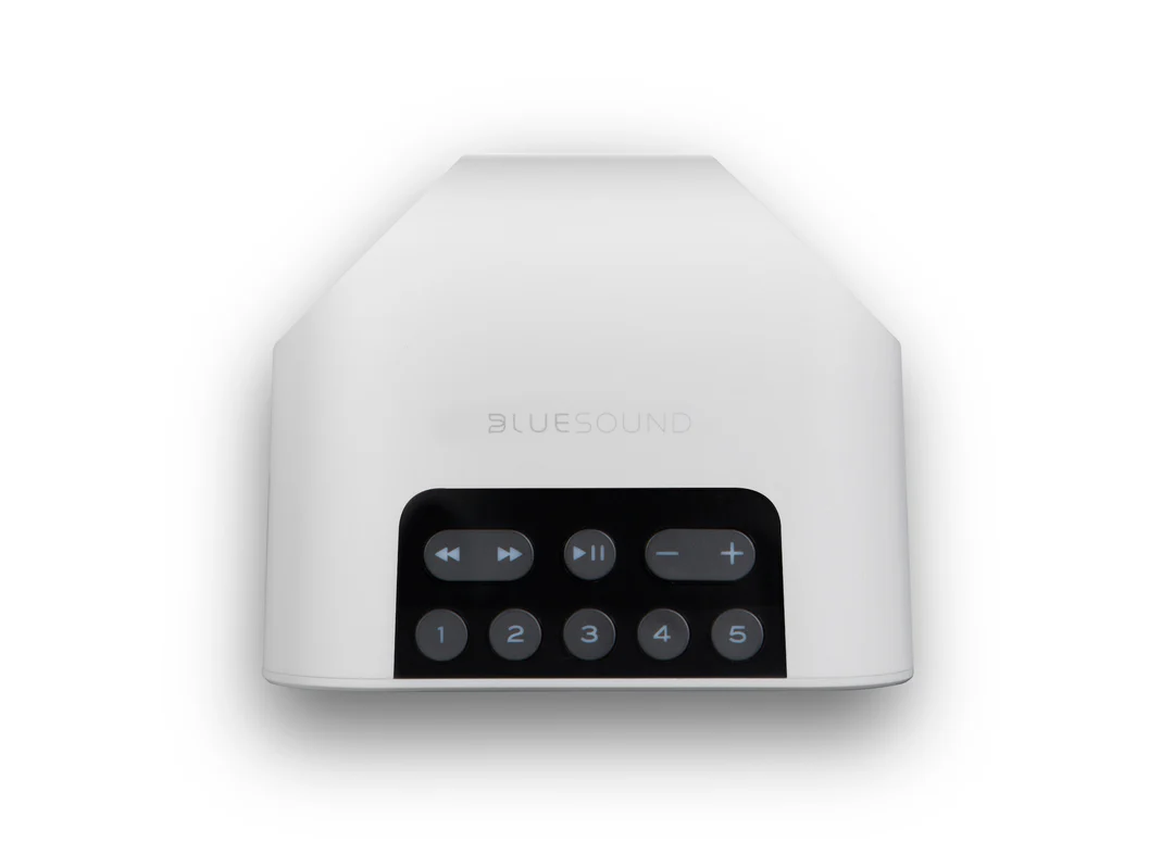 Bluesound PULSE FLEX 2i Portable Wireless Multi-Room Music Streaming Speaker