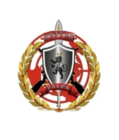 Expert Security Consultation