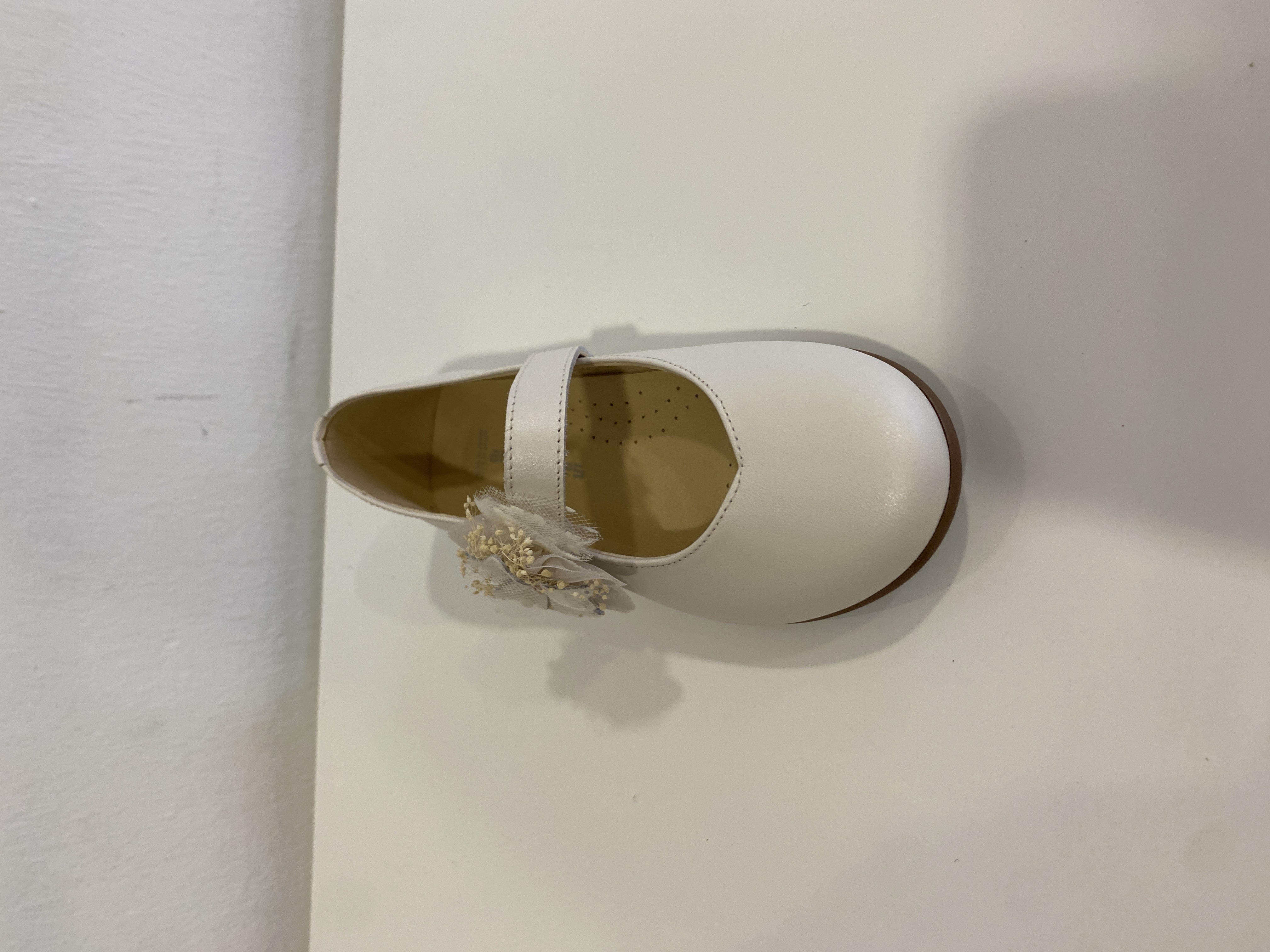 BAILARINAS ANDANINES BAMBI NACARADO