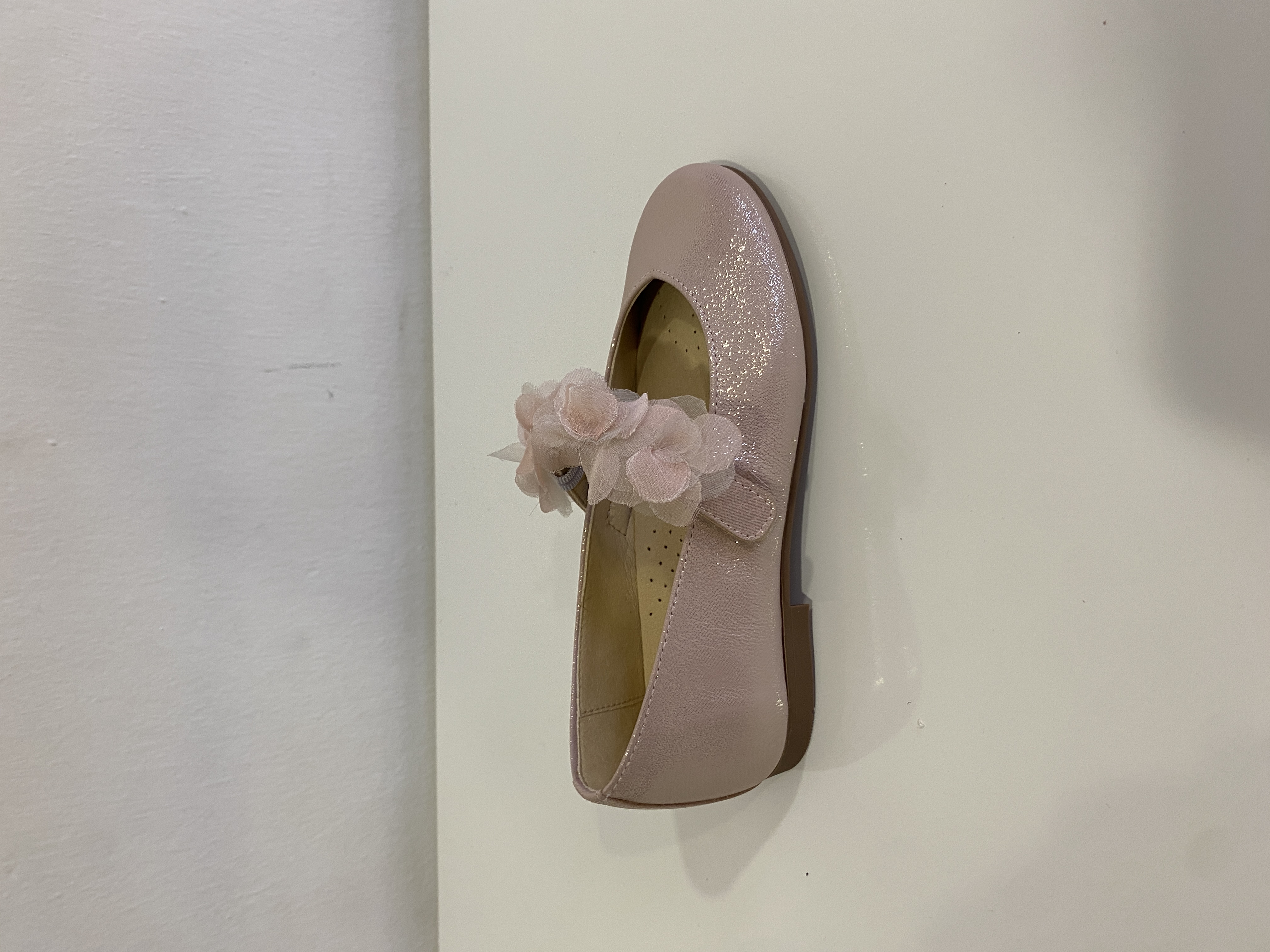 BAILARINAS ANDANINES ROSAS