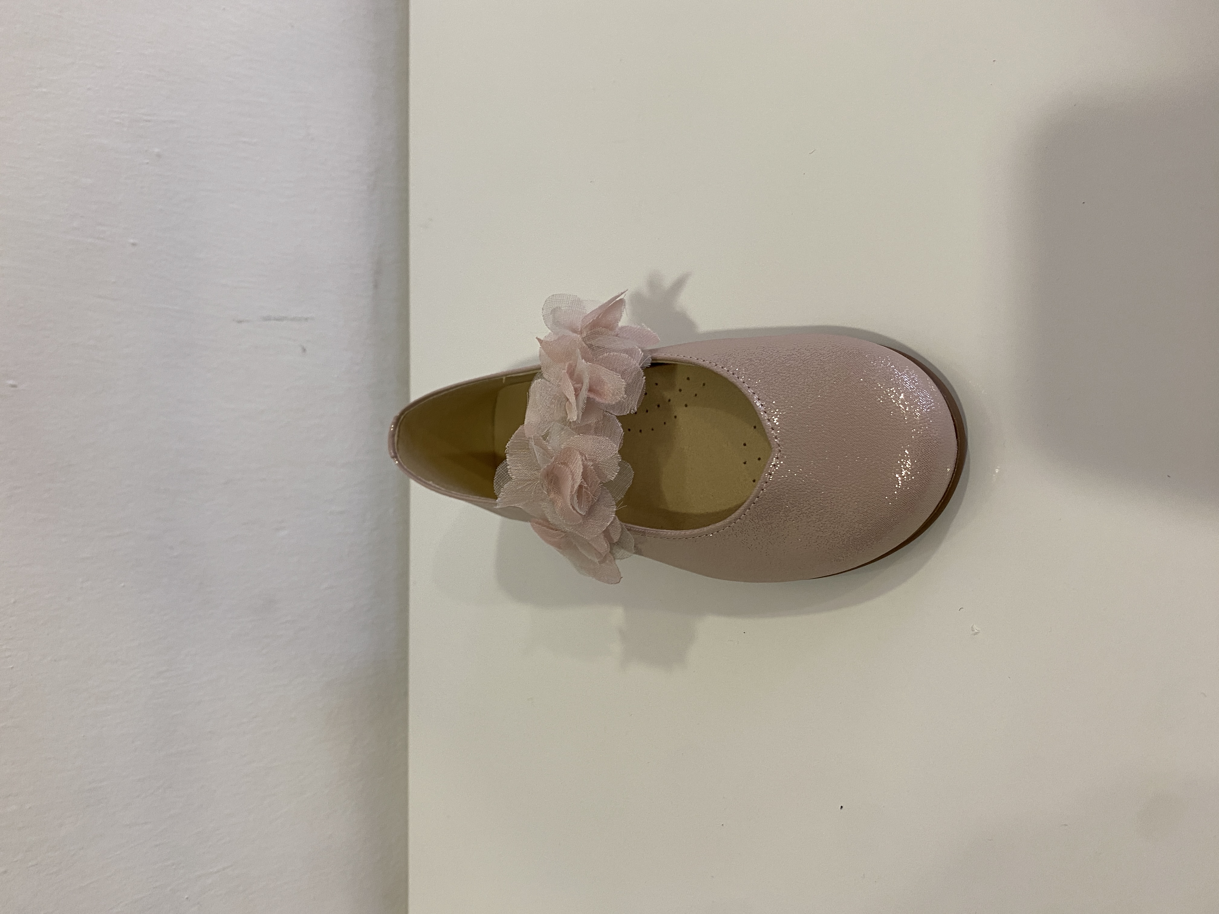 BAILARINAS ANDANINES ROSAS