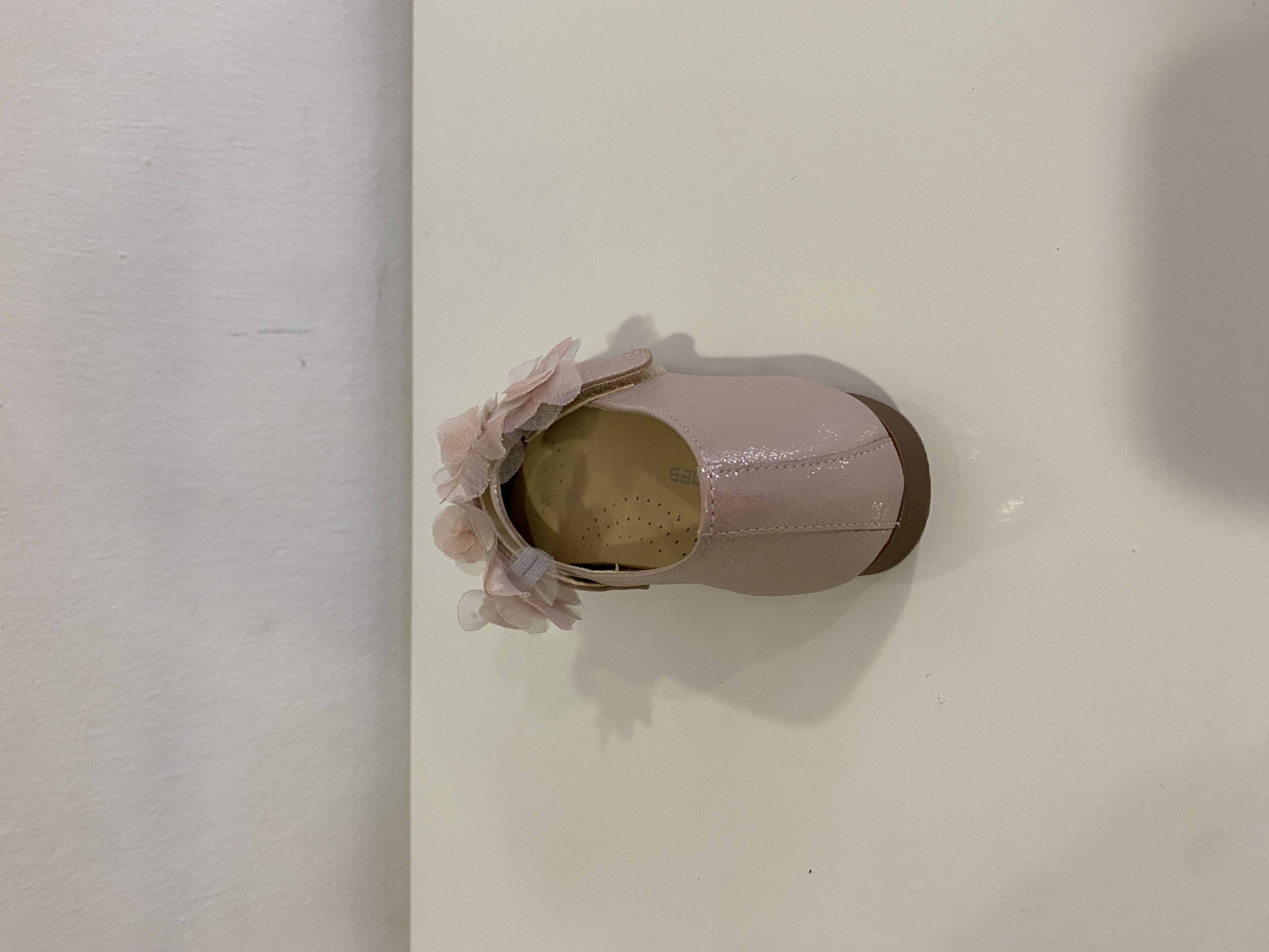 BAILARINAS ANDANINES ROSAS