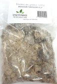 Résine ESOTERRA Benjoin Blanc 'Dragon Fly' 100g