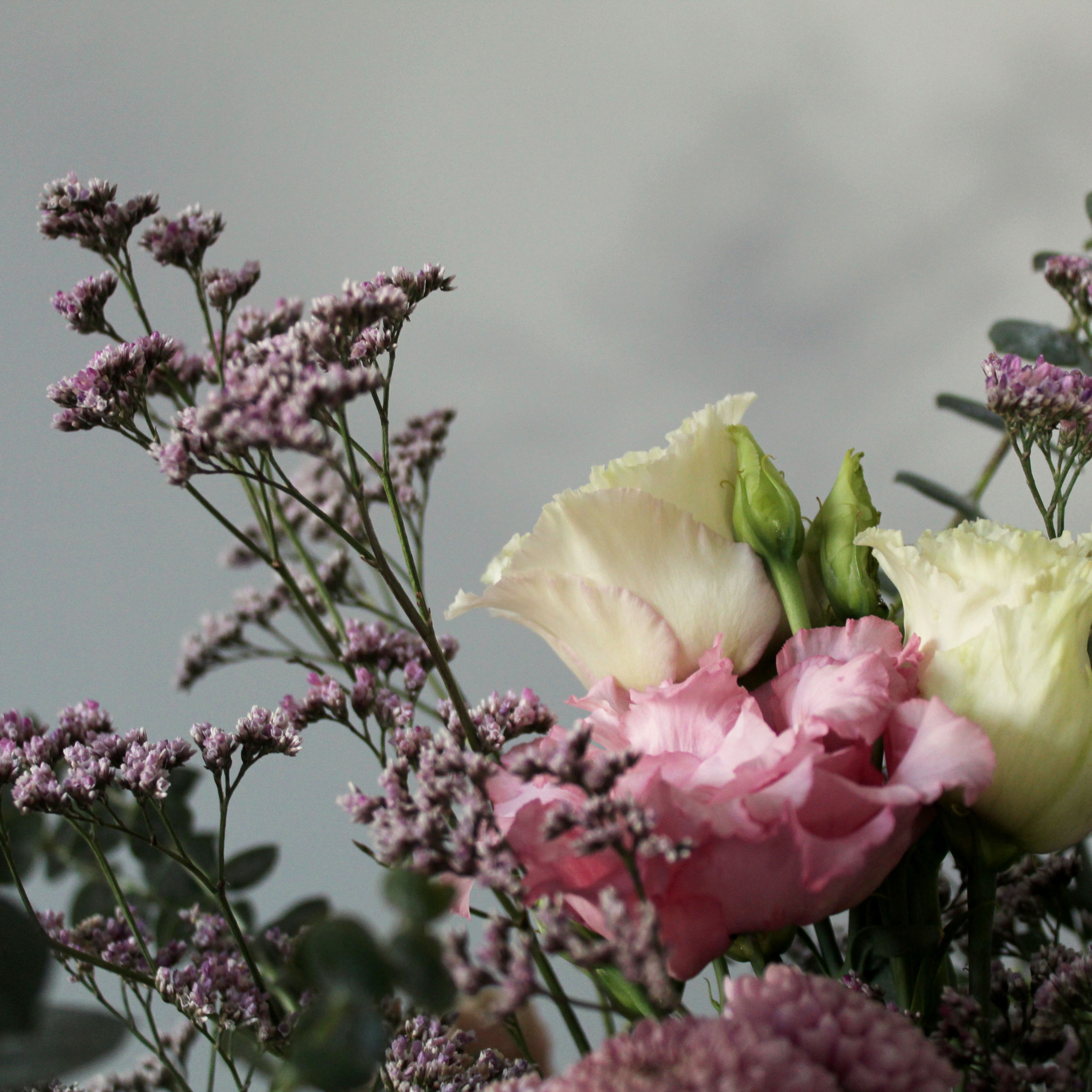 Baltai rožinė paletė