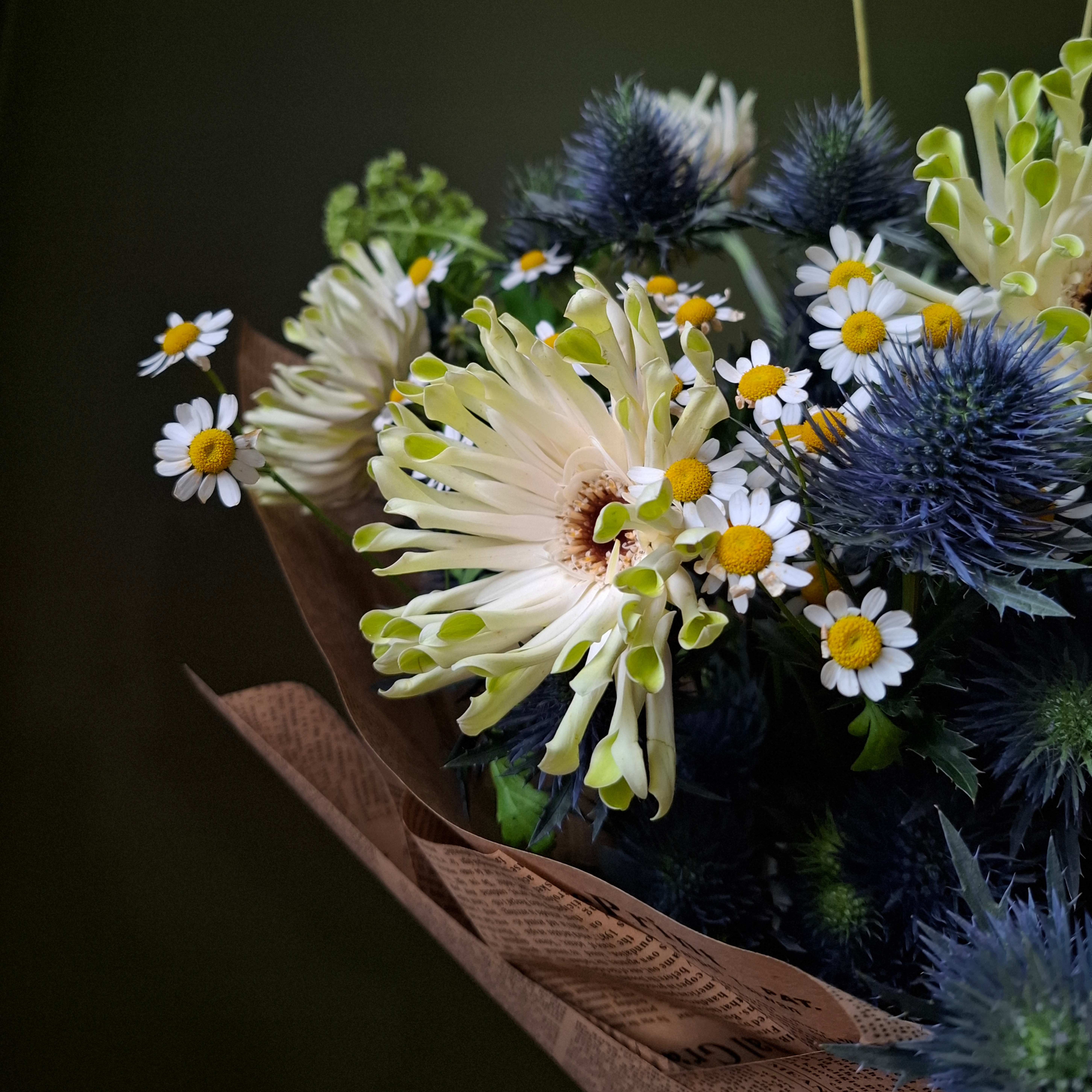 Žaliai mėlyna paletė