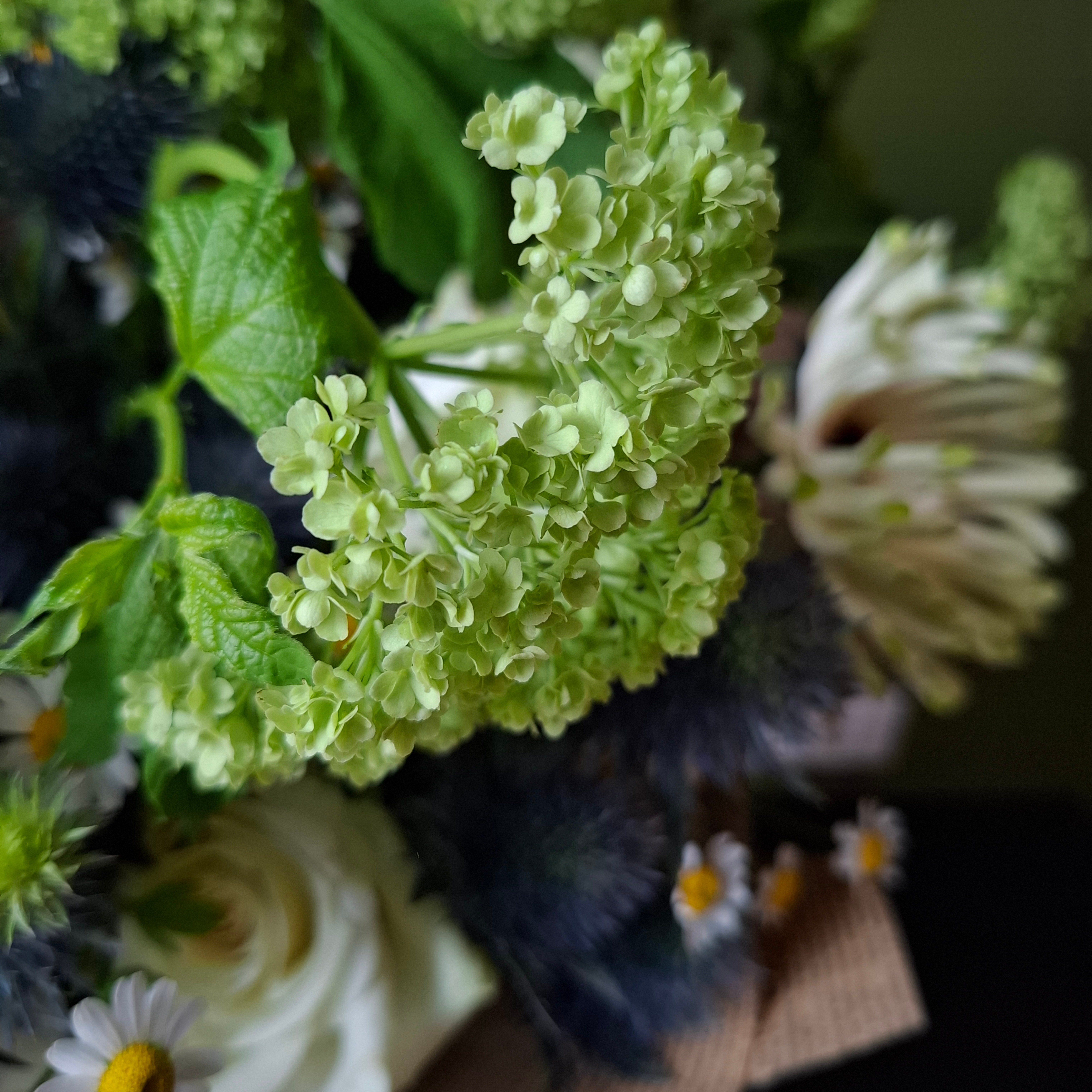 Žaliai mėlyna paletė