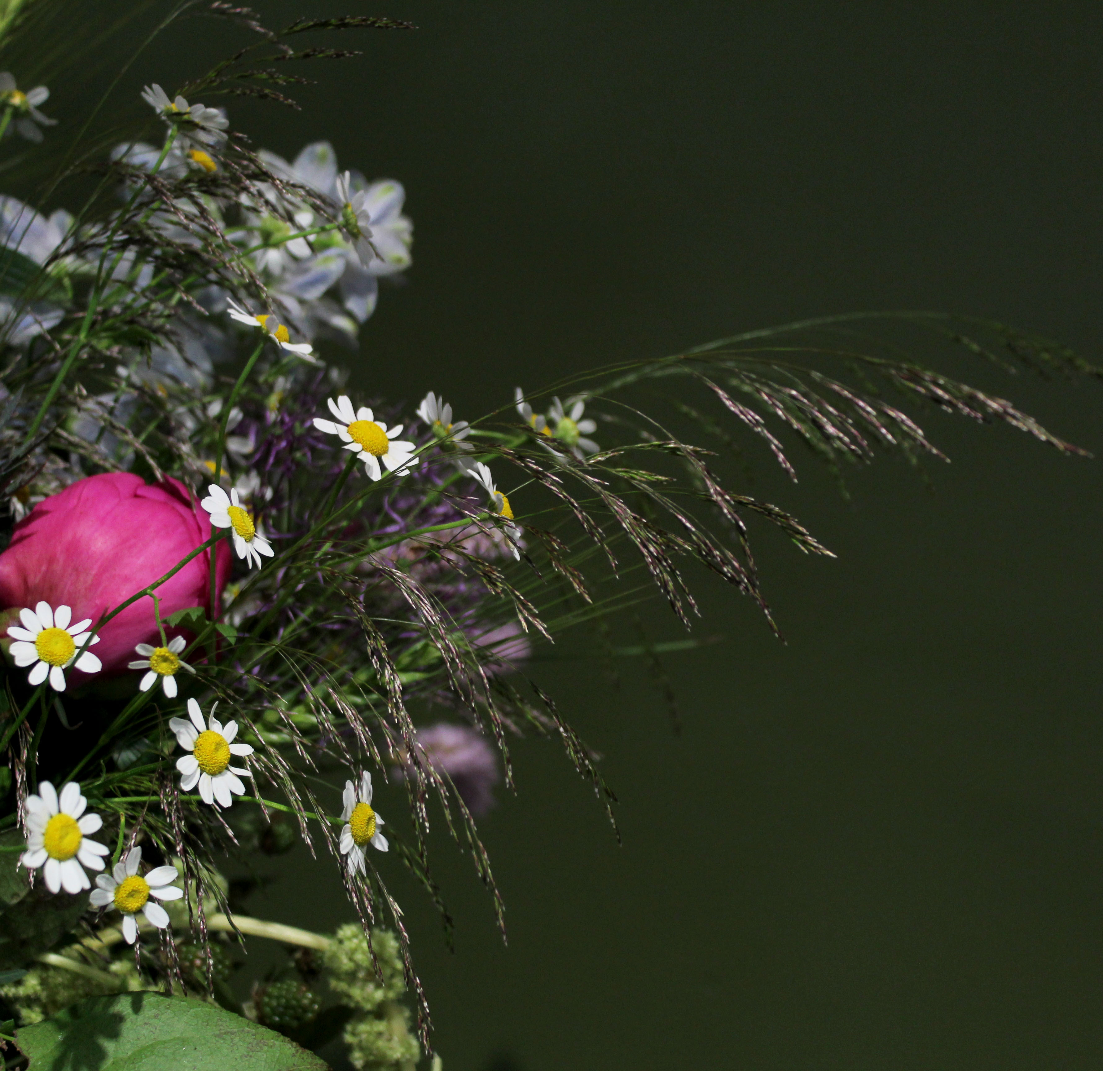 Lauko gėlių nuotaika