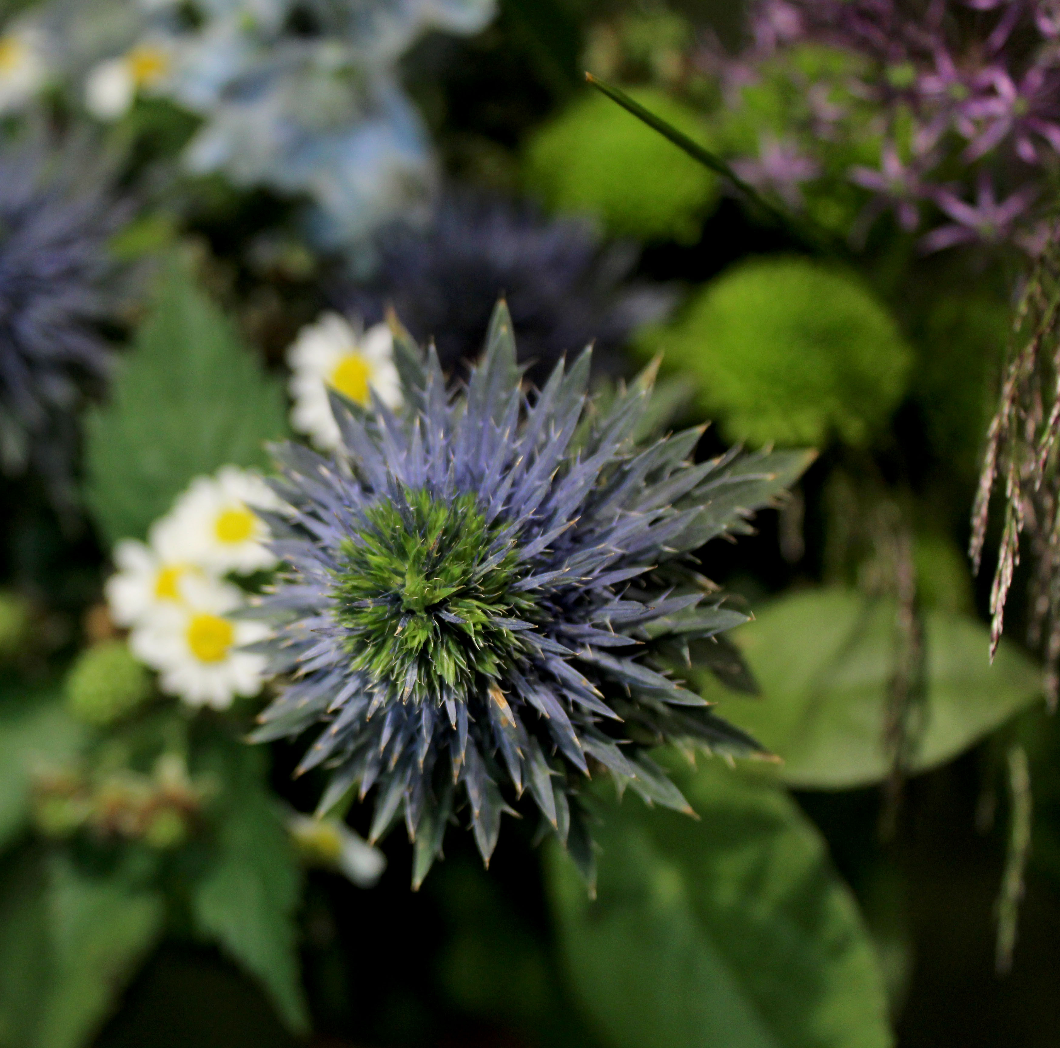 Lauko gėlių nuotaika