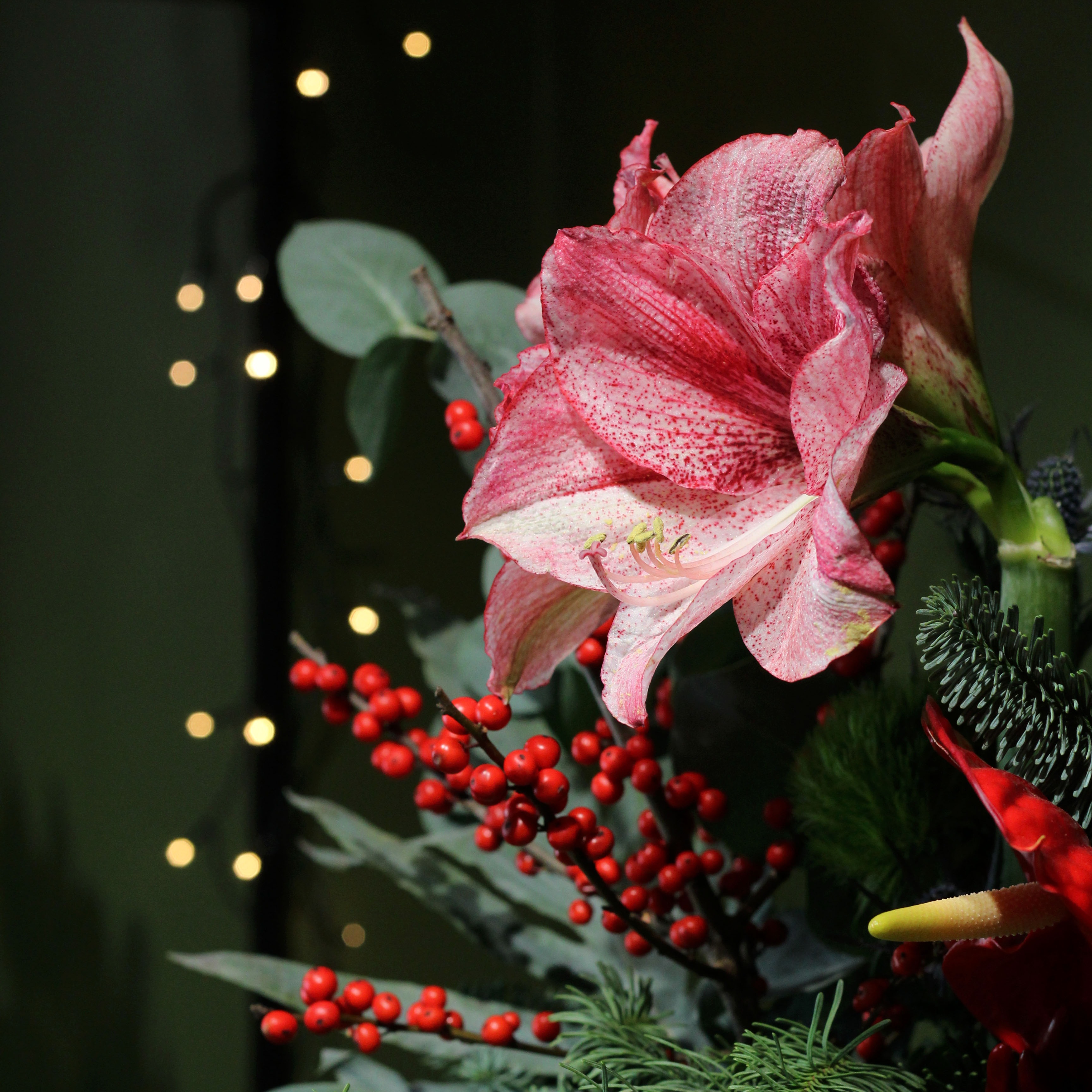 Žiemiška puokštė 