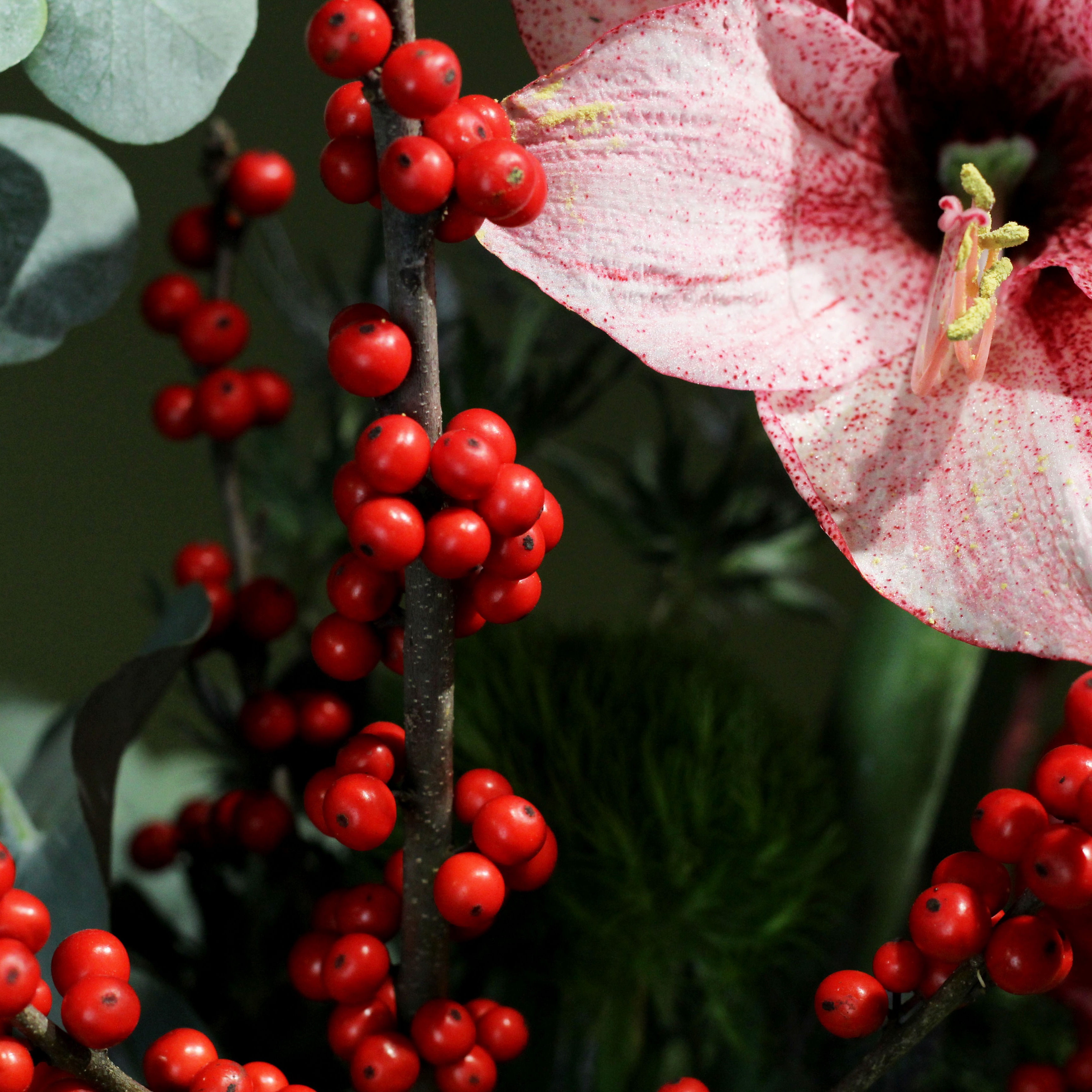 Žiemiška puokštė 