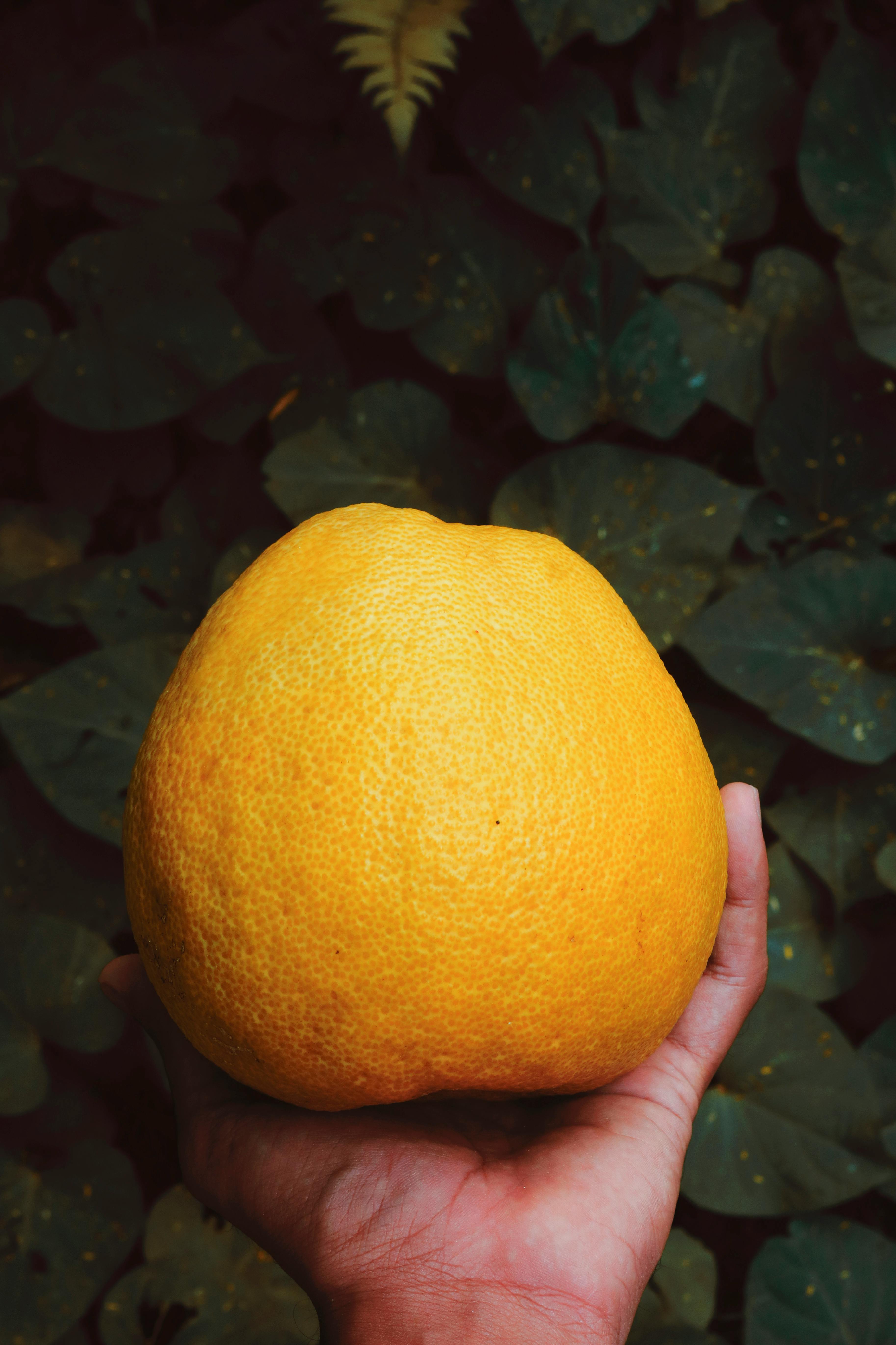 POMELO
