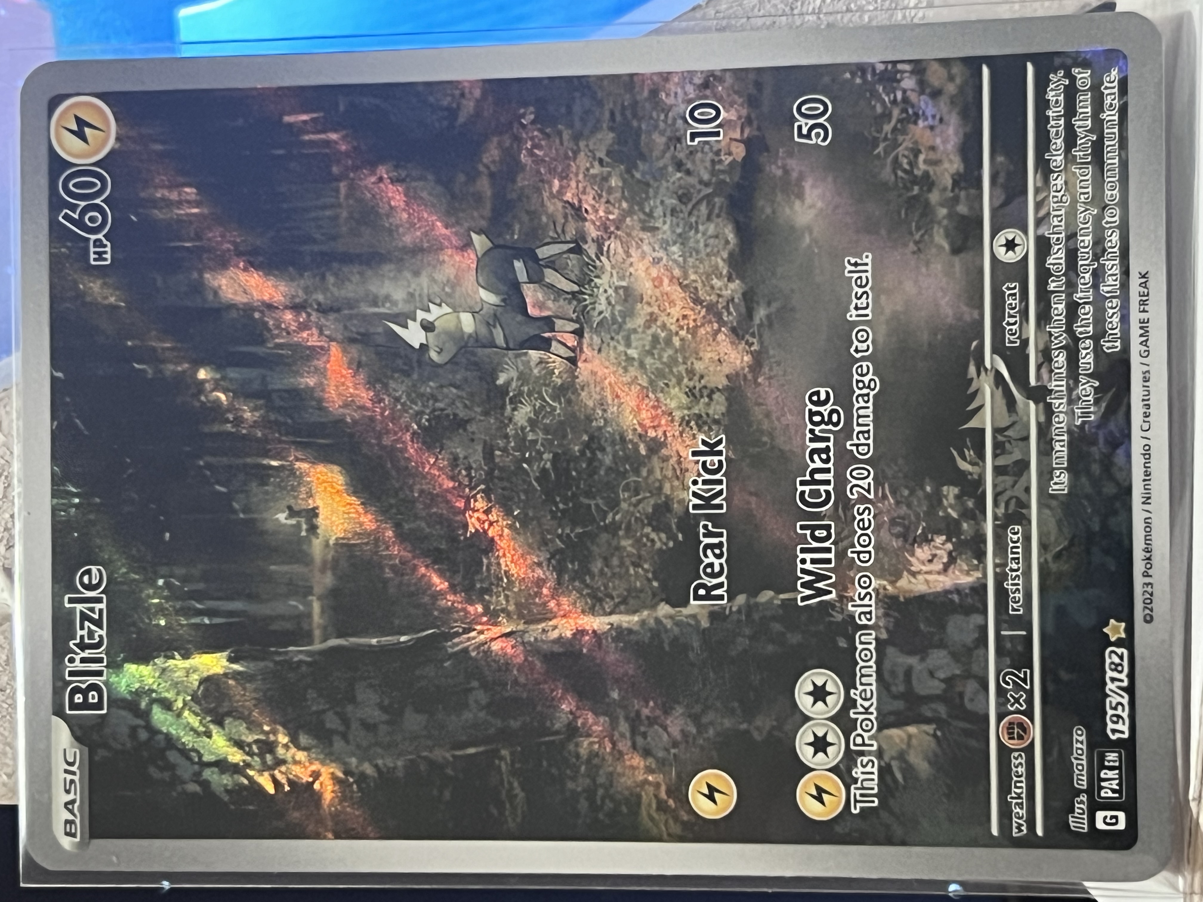 Blitzle 195/182 Paradox