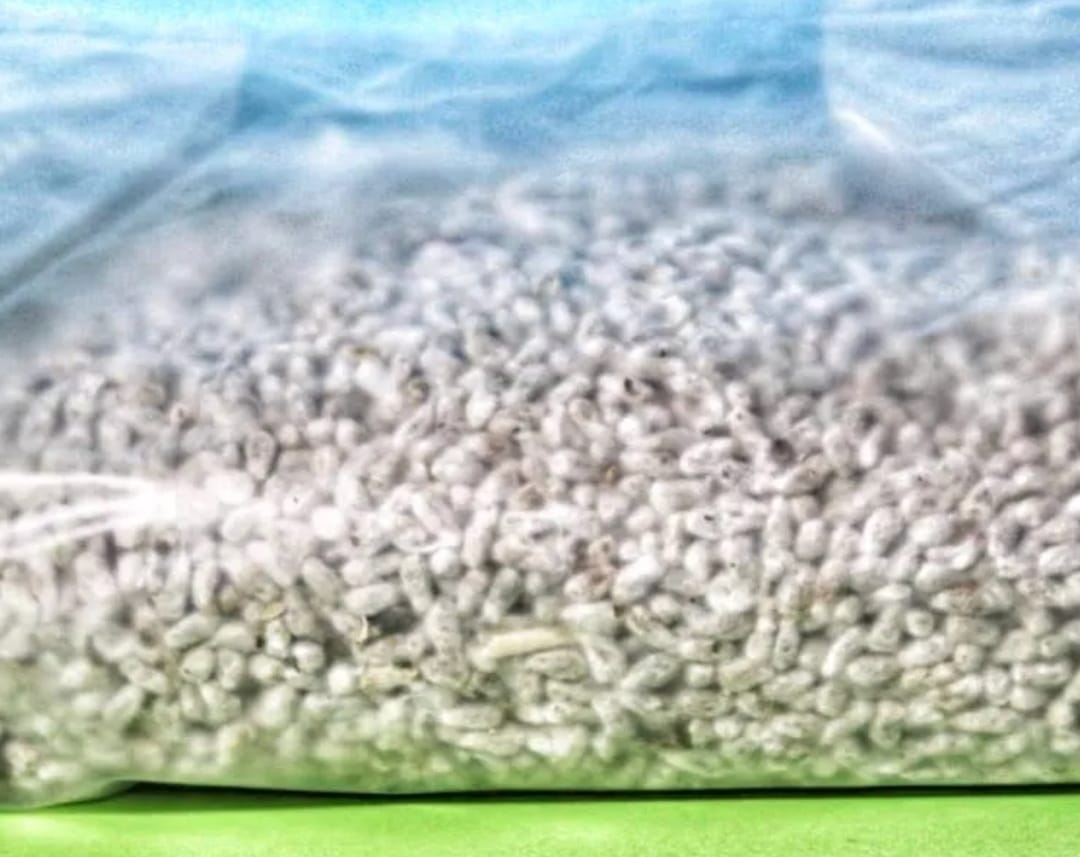 Hamsters Sustrato Natural Biodegradable