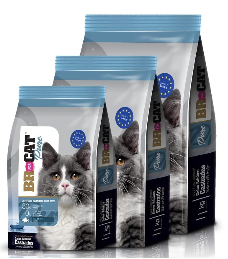 Br cat  salmon castrado 