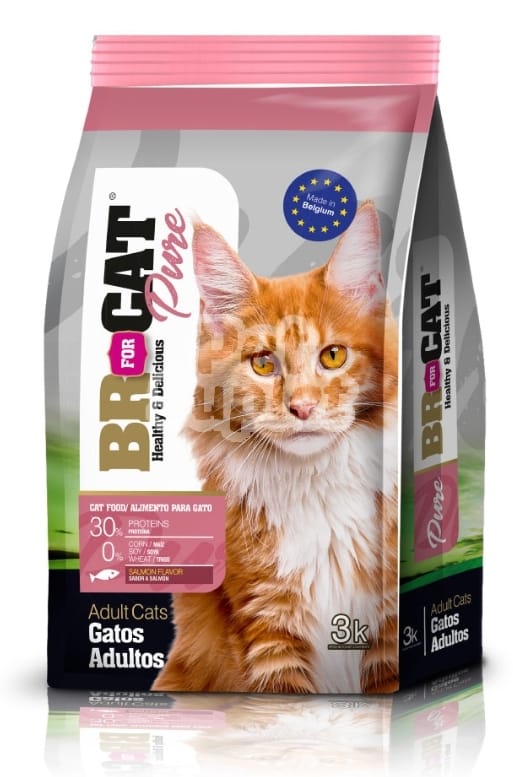 BR for Cat  Salmon Alimento para gatos Pure