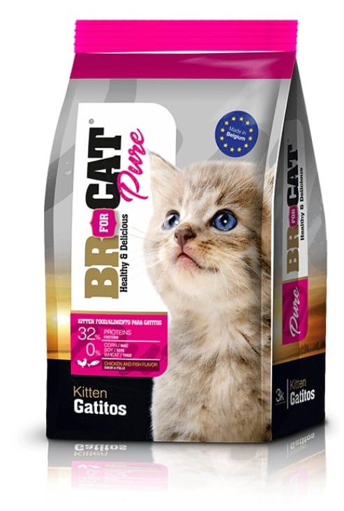 Br cat Comida para gatitos