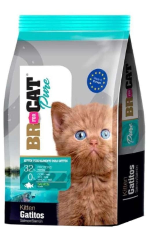 Br cat  gatitos salmon  Alimento para gatitos  