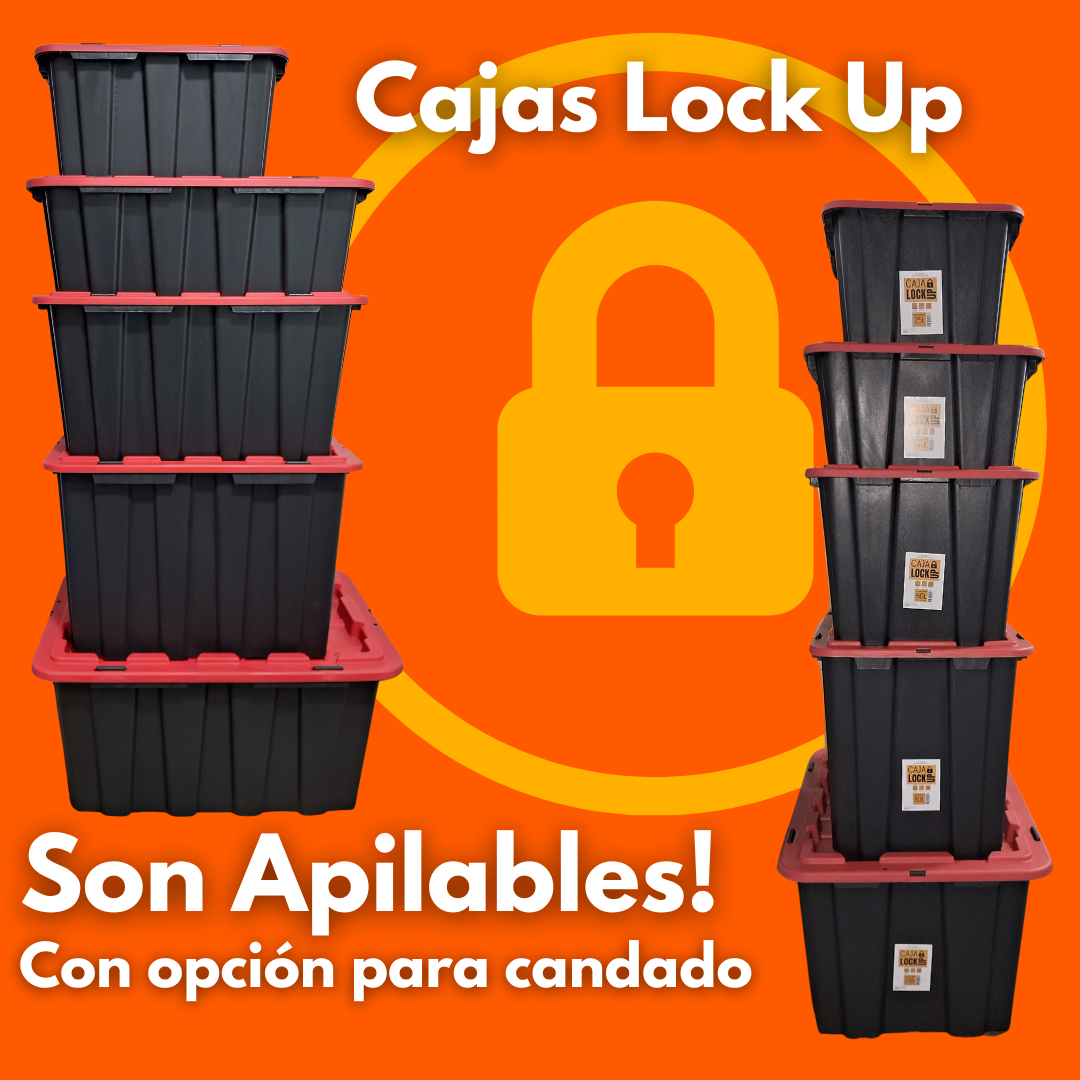 Caja de almacenamiento Lock Up