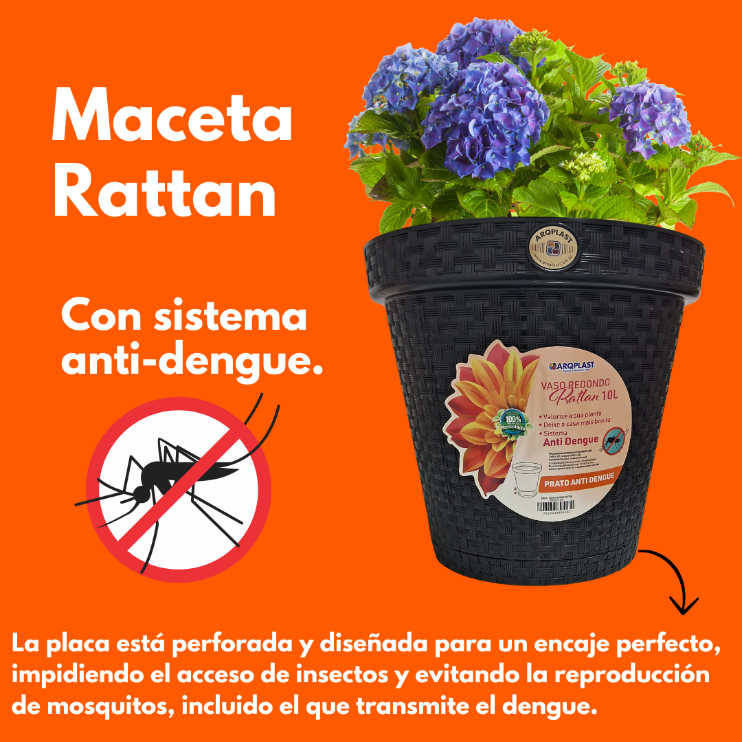 Maceta Antidengue