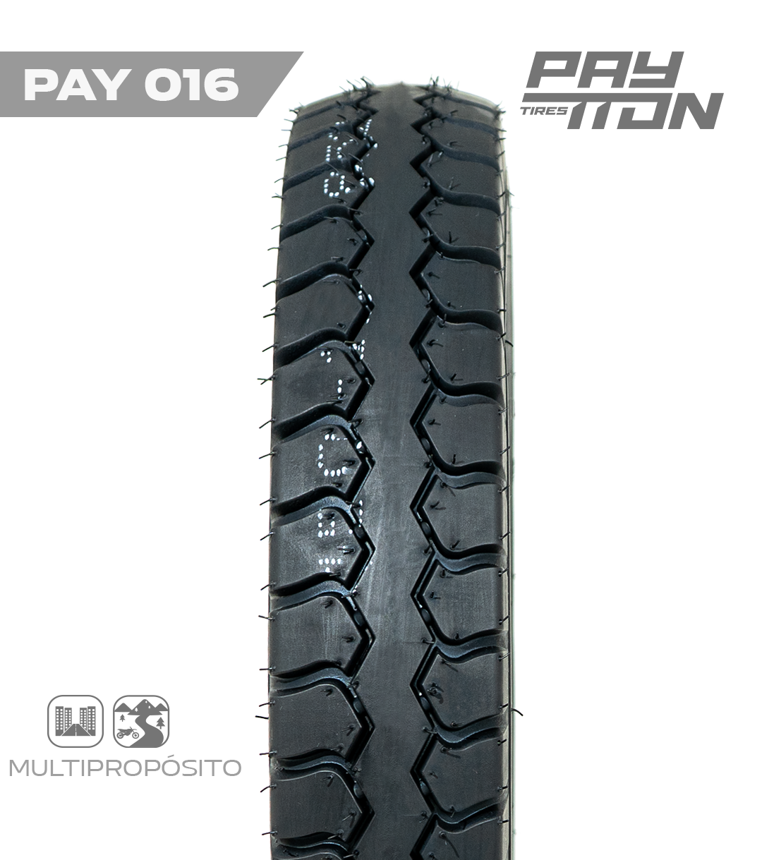  5.00-12 TT / PAY016