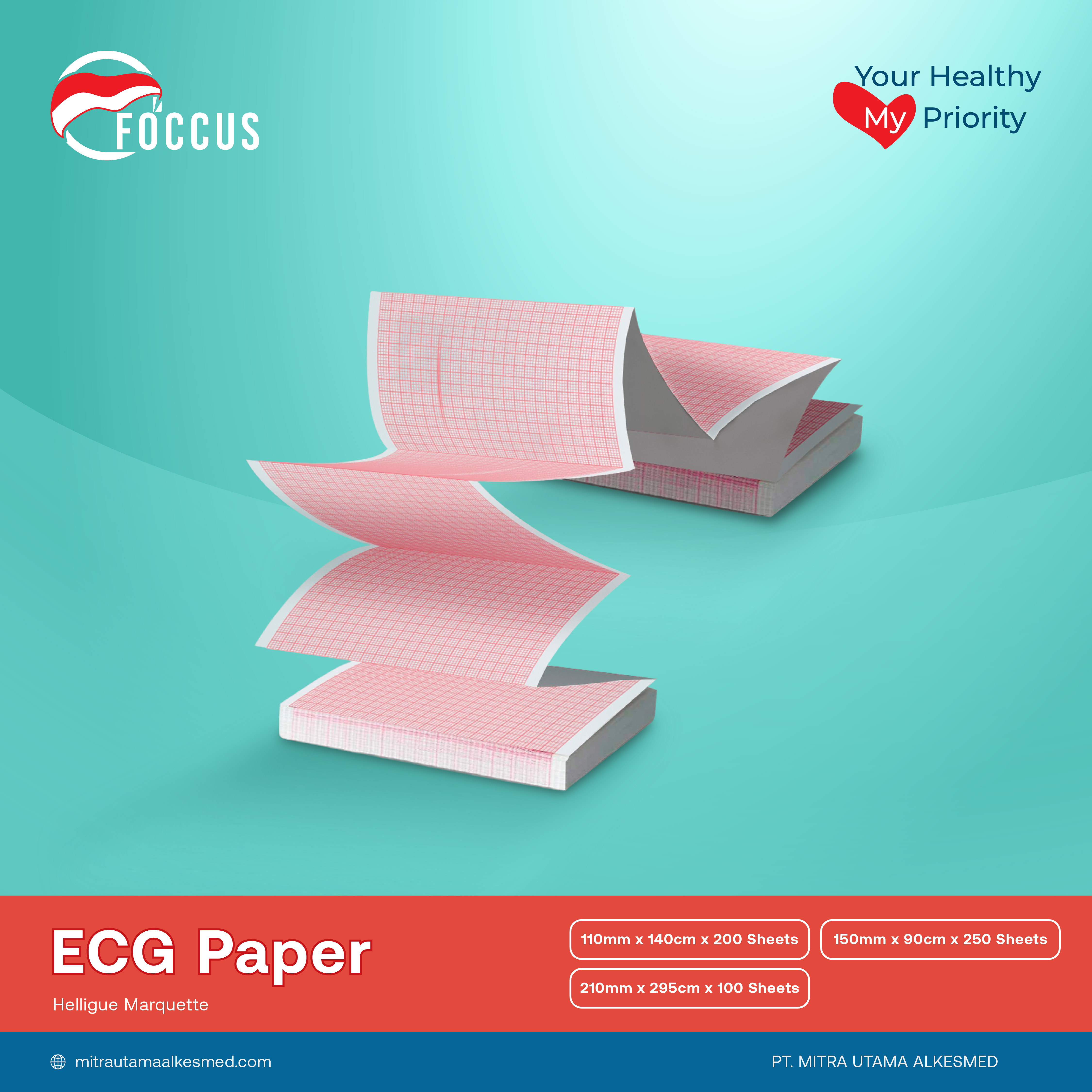 Hellige Marquette  |  Fold Electrocardiogram Paper  |  Kertas ECG Lipat