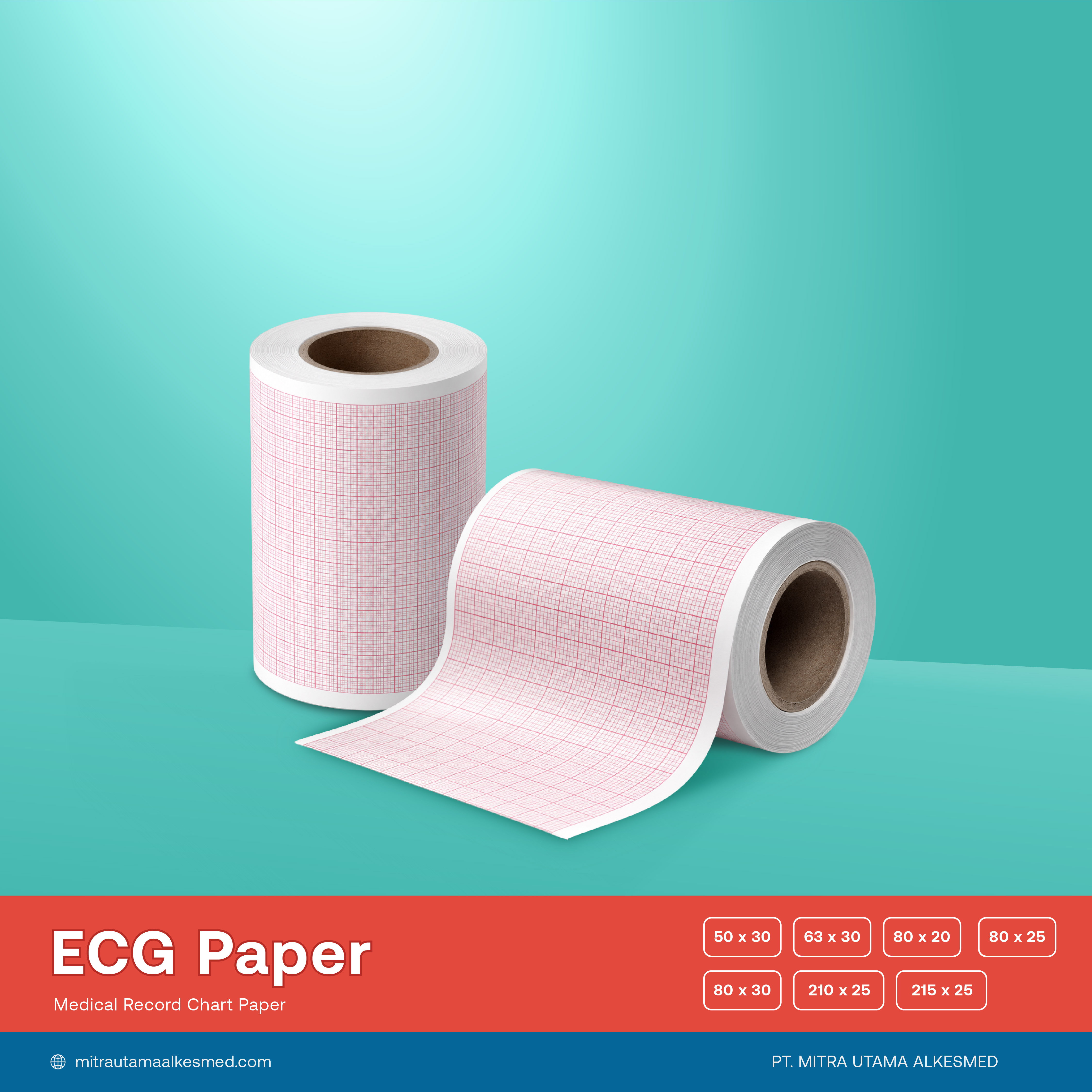Kertas ECG  |  Electrocardiogram Paper