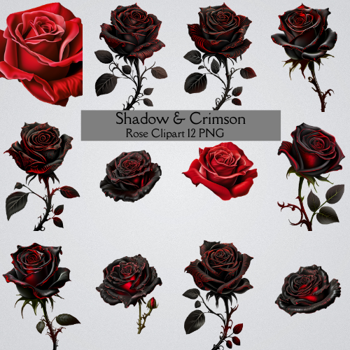 Shadow & Crimson: Black and Red Rose Clipart 12 PNG Digital Download