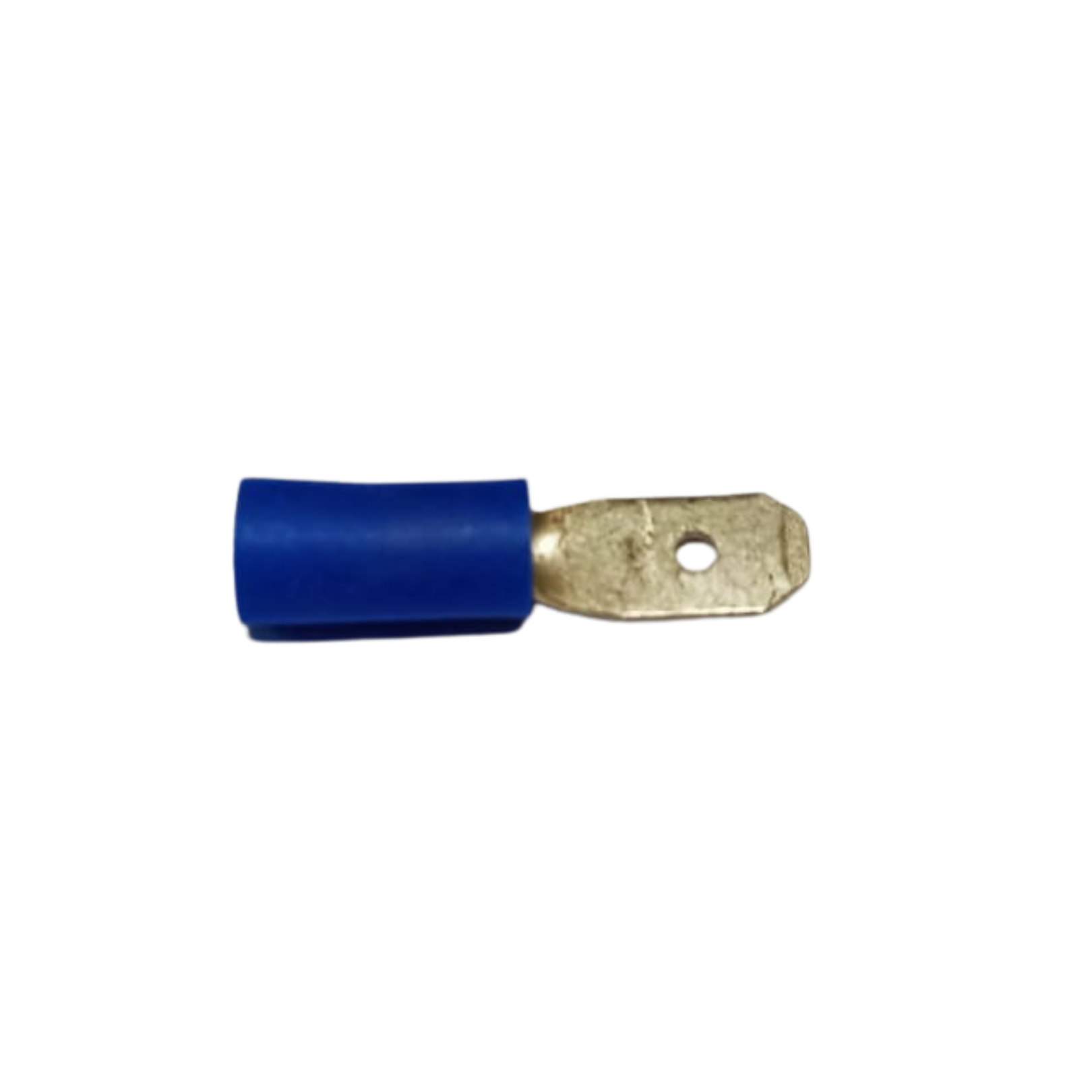 Terminal MINI BOSCH Macho Azul
