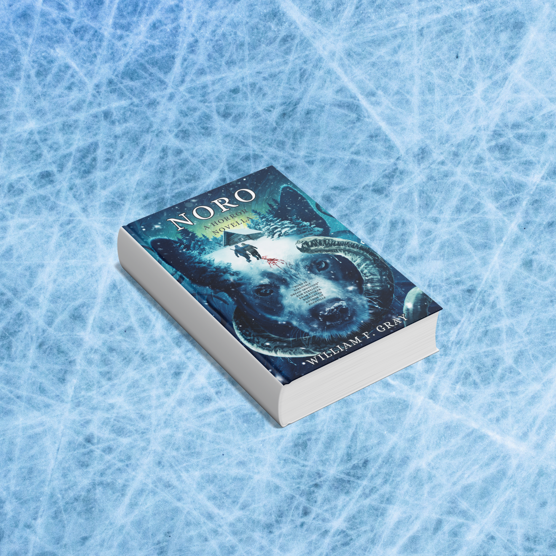 Noro: A Horror Novella