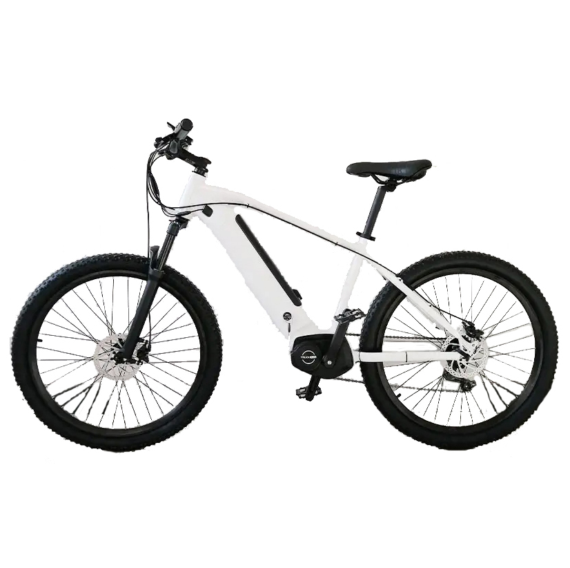 Economic 26inch mountain electric bike with Middle drive motor