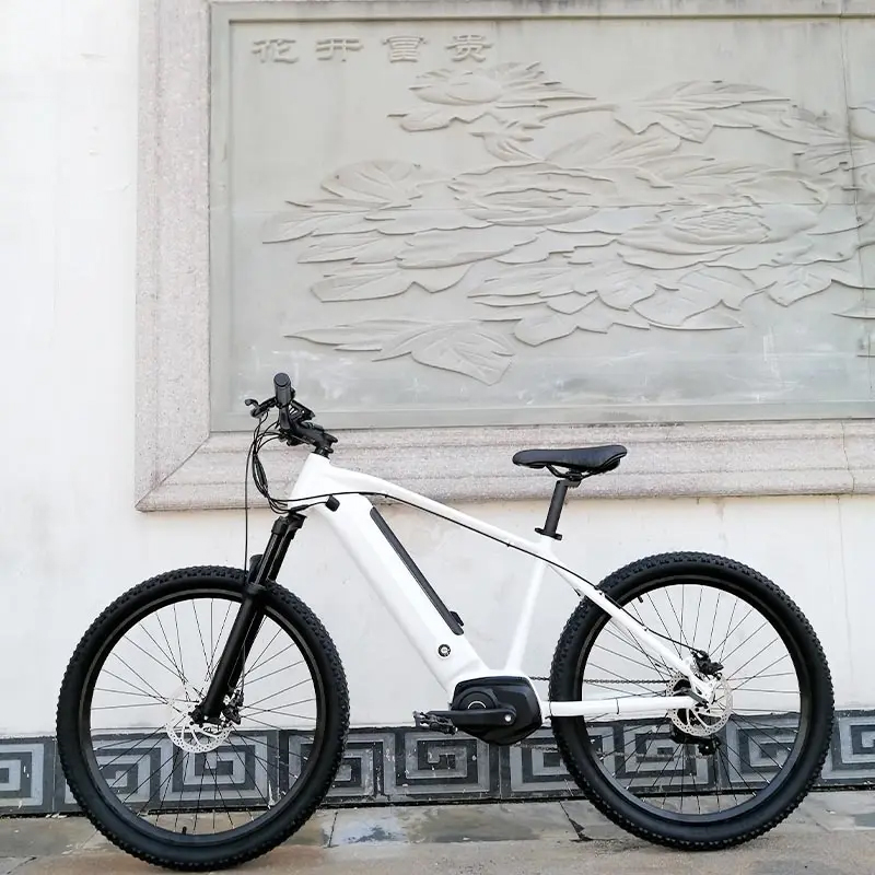 Economic 26inch mountain electric bike with Middle drive motor