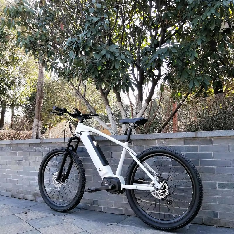 Economic 26inch mountain electric bike with Middle drive motor