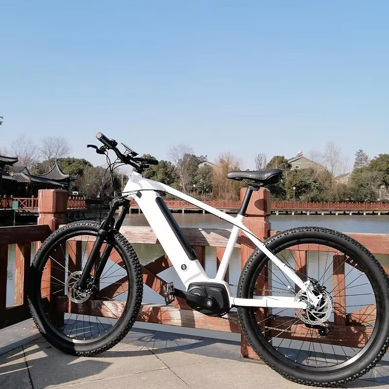 Economic 26inch mountain electric bike with Middle drive motor