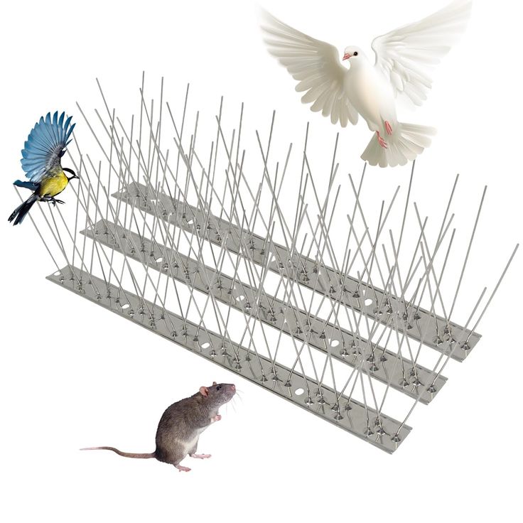BIRD SPIKES ON WALLS