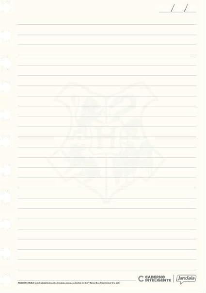 Caderno Inteligente, Grande, Harry Potter, 200x275 mm, 80 Folhas