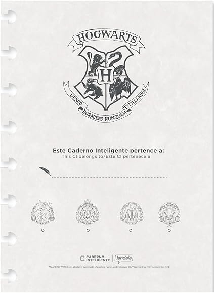 Caderno Inteligente, Grande, Harry Potter, 200x275 mm, 80 Folhas