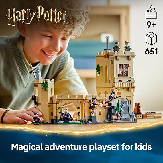LEGO Harry Potter O Castelo de Hogwarts™: Aulas de Voo 76447