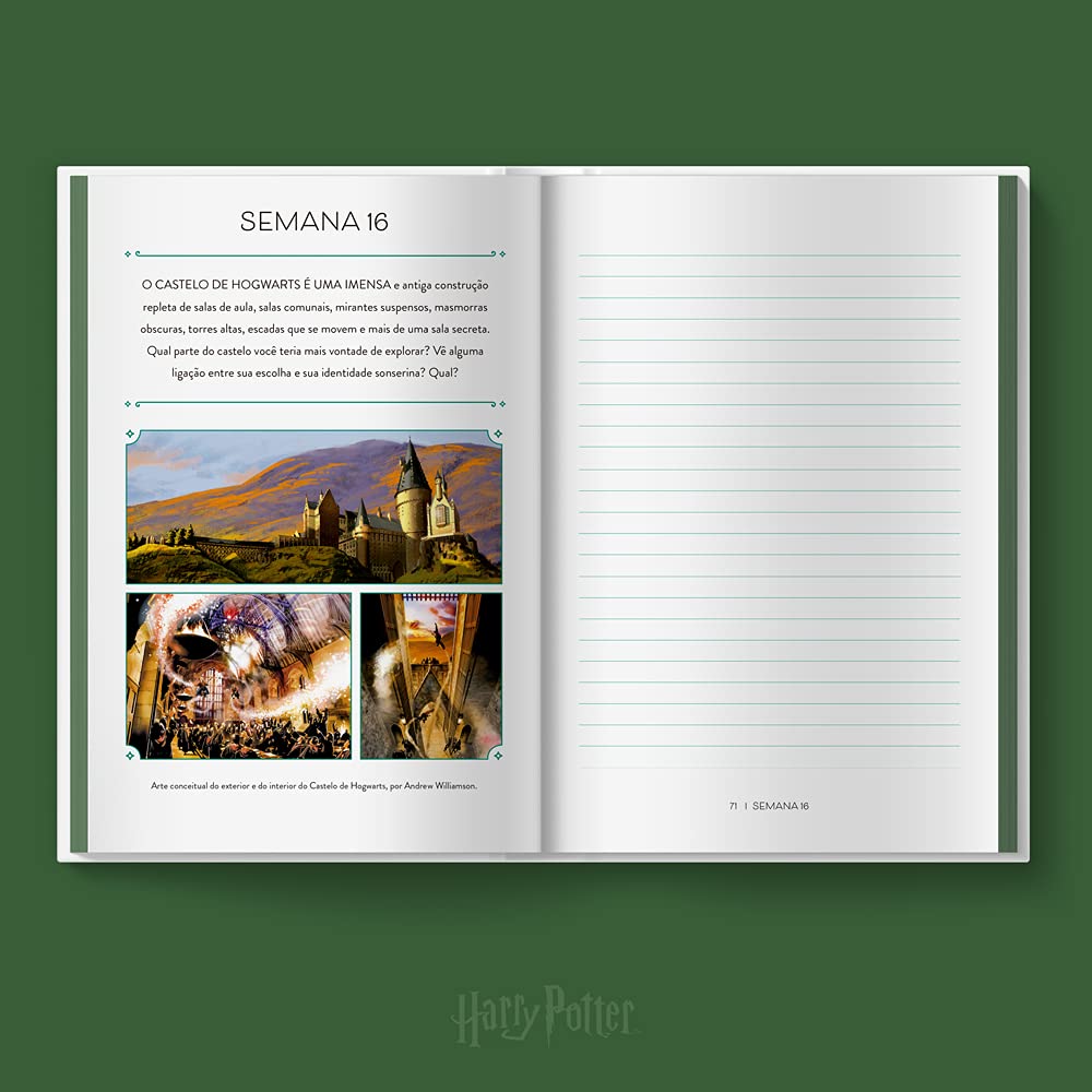 Harry Potter - Ambição: Seu diário para explorar o mundo da Sonserina