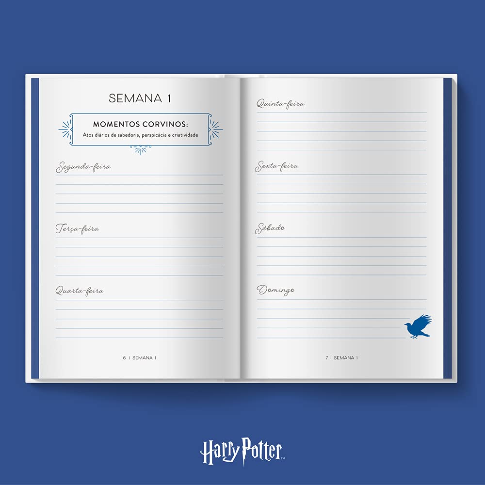 Harry Potter - Sabedoria: Seu diário para explorar o mundo da Corvinal