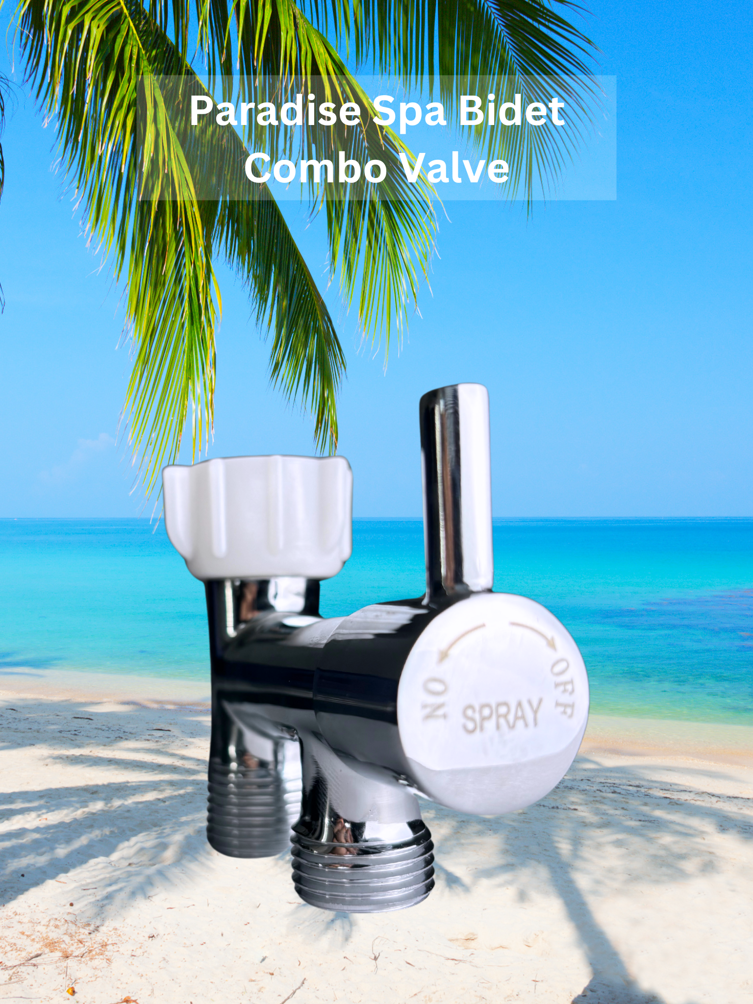 Paradise Spa Bidet Combo Valve